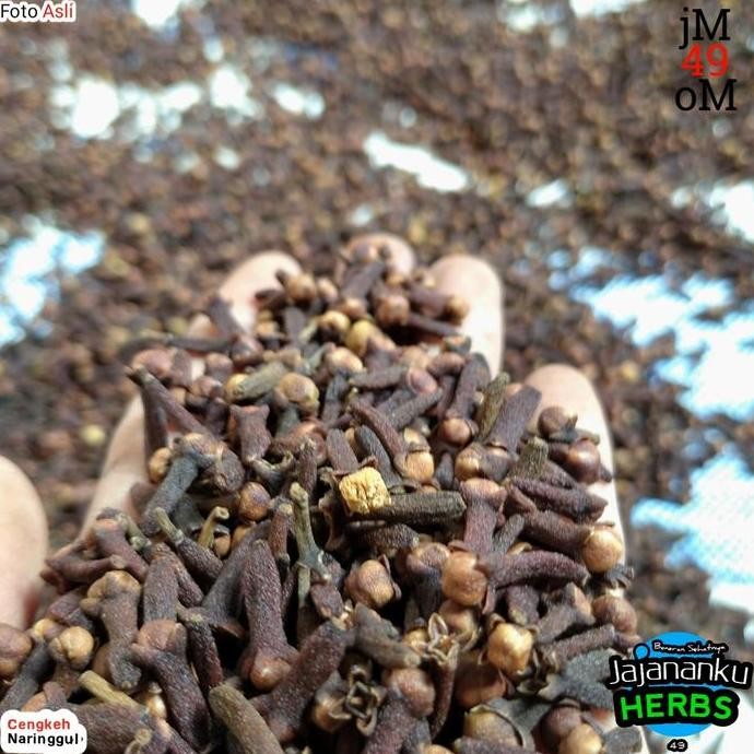 

JH8 Cengkeh Kering 1kg Murah Grosir Rempah Clove Kualitas Super 100% TERMU