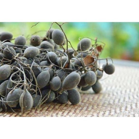 

JH8 Asem Kranji | Asam Kuranji Keranji 50gr Camilan Tradisional