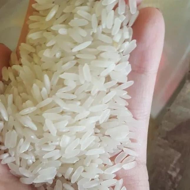 

(Expert) KHUSUS orderan di atas 100 KG