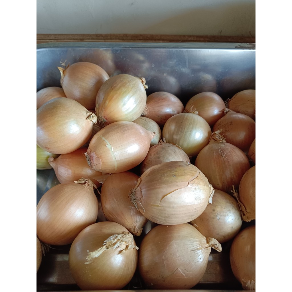 

Bawang Bombay Segar 500 gr