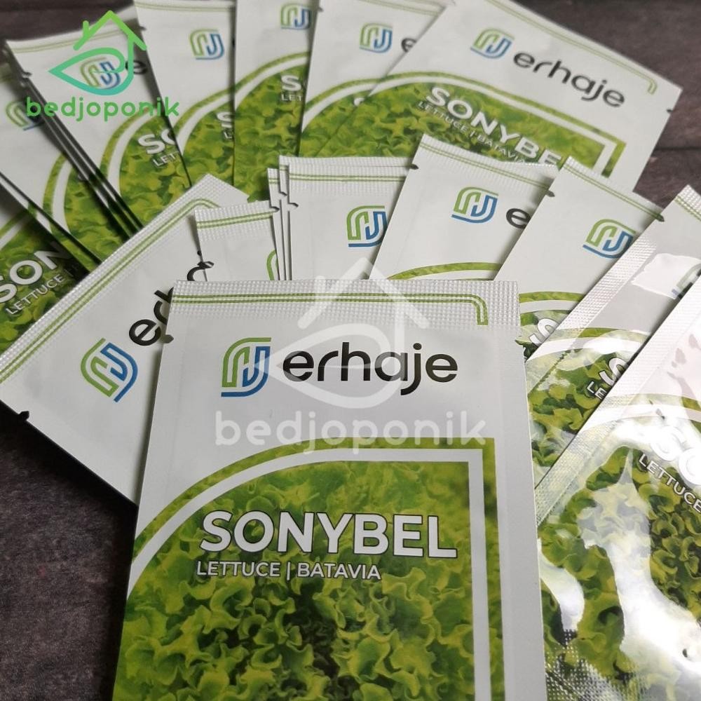 Benih Sonybel 1gr Sonybel Bejo Benih Selada Bejo Benih Selada Import Sonybel Pengganti Benih Myrtel