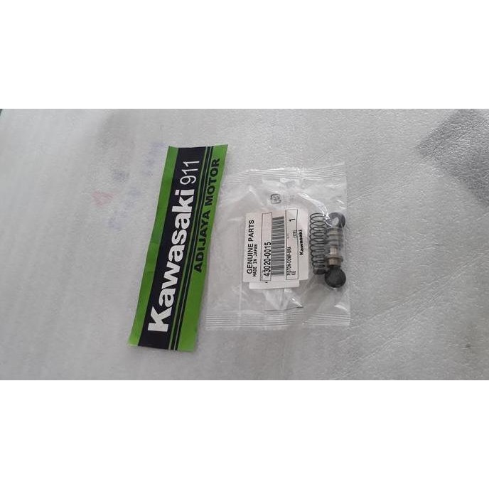 Seal Master rem depan Er6n original