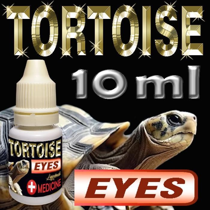 Tortoise Eyes Obat Tetes Mata Reptile Kura-Kura Darat Sulcata Obat Mata Reptile Bengkak Merah Infkes