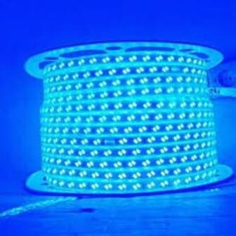 lampu led strip selang 5730 2 mata 2 baris double 220v 1 roll