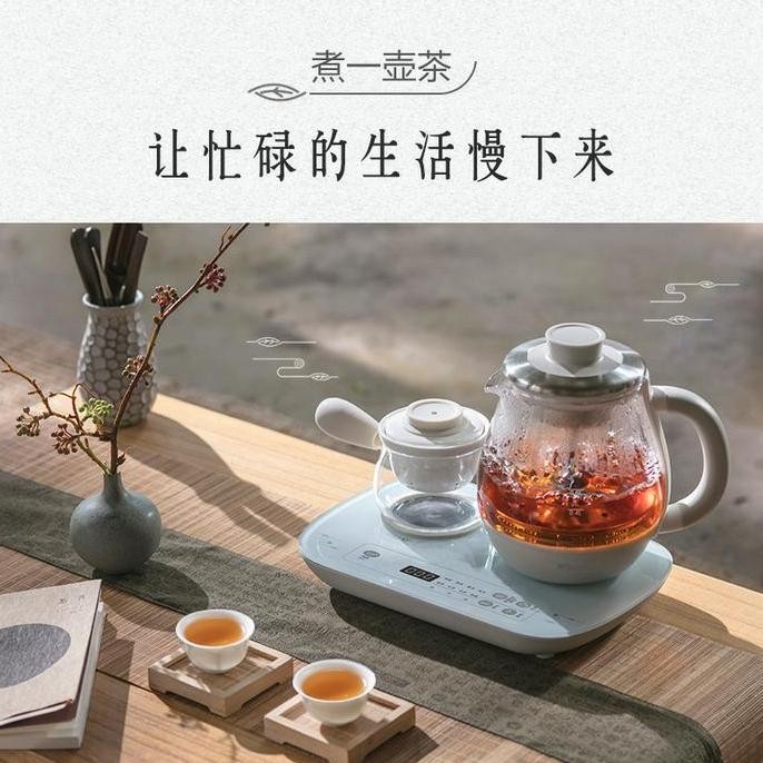 Bear Electric Tea Pot Tea Maker Kettle Listrik