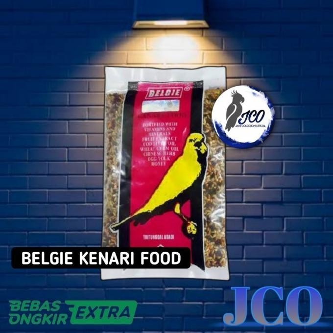 BELGIE KENARI MAKANAN BURUNG KENARI BELGIE KENARI BELGI KENARI