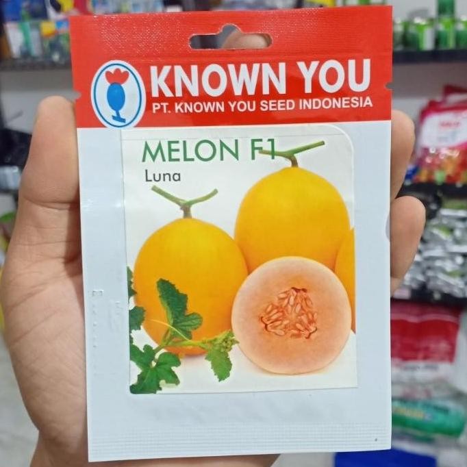 Melon Luna - Melon Kuning