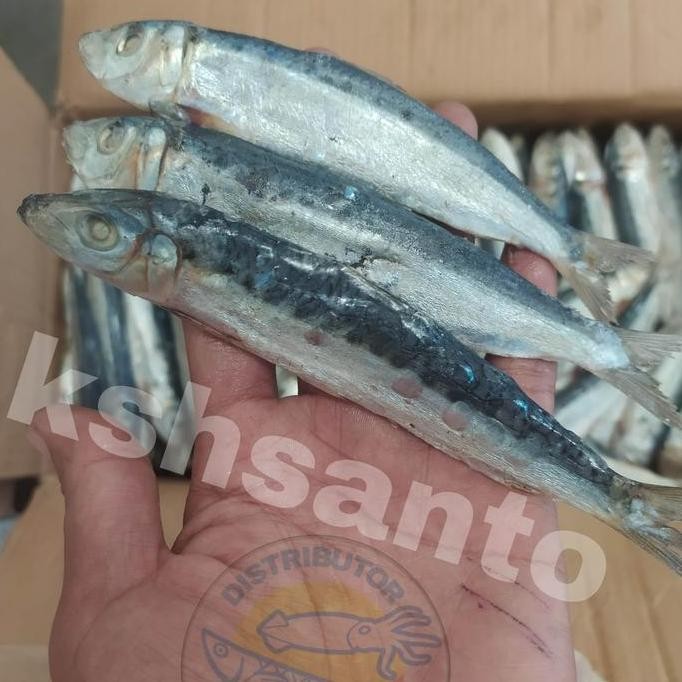 

Ikan Asin Japu Sero Super-500Gram