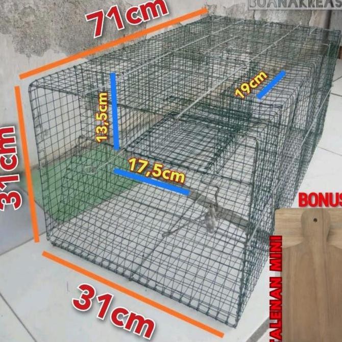 TERLARIS - Jebakan Perangkap Musang