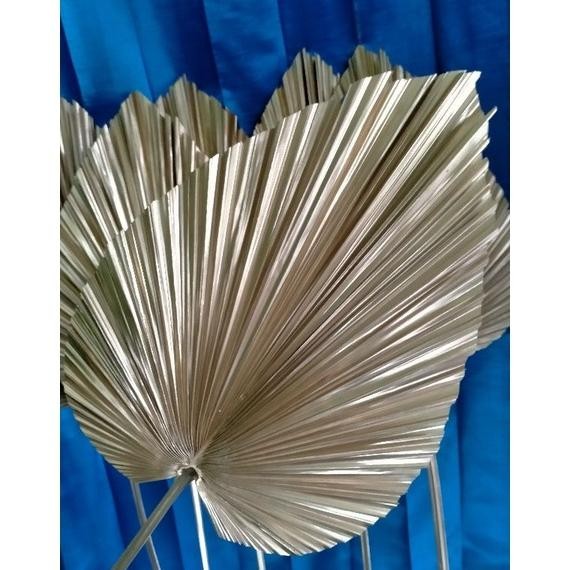 DAUN PALEM MINI GOLD | DEKORASI | RUSTIC