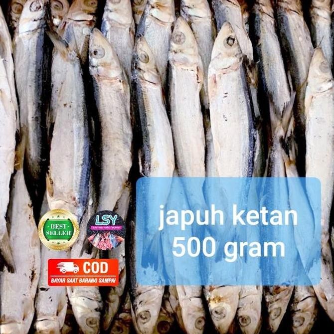 

Ikan Asin Japuh Ketan 500Gr