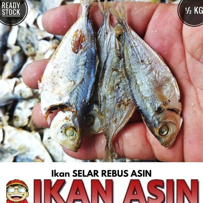 

Ikan Asin Selar Rebus 500 Gr