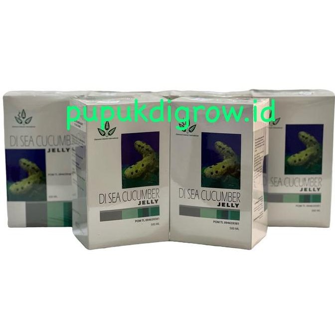 Obat Herbal Alami Teripang Laut Jelly Gamat 500 Ml Merk Diamond Interest Jelly Gamat Sea Cucumber Di