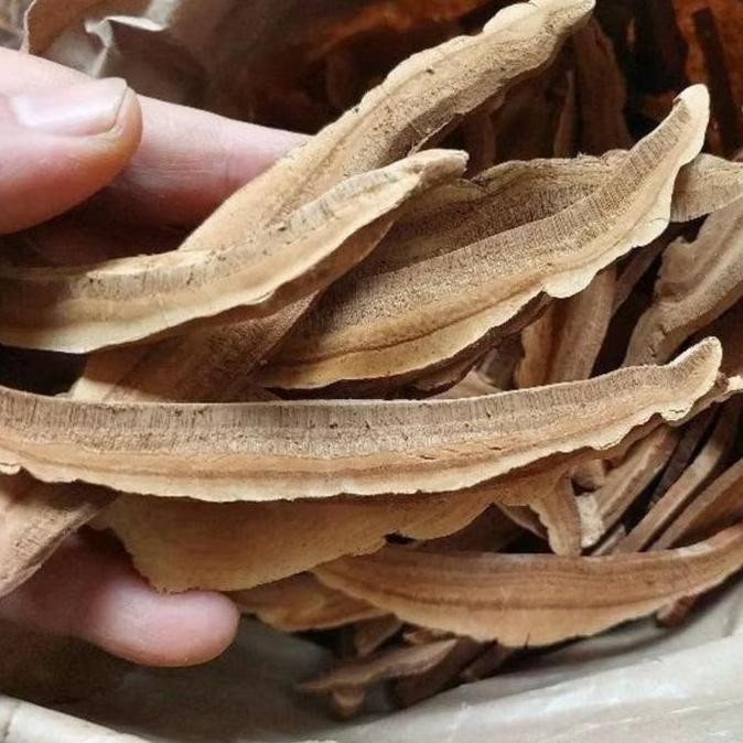 

Jamur Lingzhi Kering Iris 100 gram - Jamur Ling zhi Iris Asli.