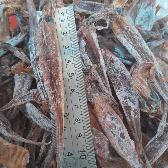 

Cumi Tawar/Cumi Tawar Enak/Cumi Jarum Tawar