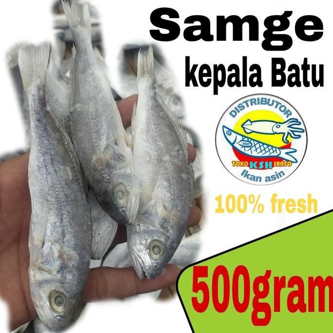 

Ikan Asin Samgge Kepala Batu 500Gram