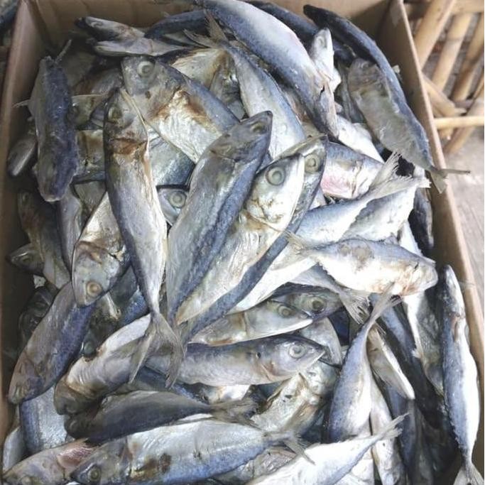 

Ikan Asin Kembung Layang 100Gr