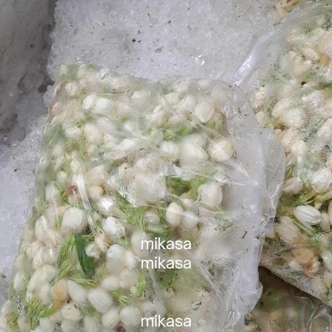bunga melati mekar bunga melati tabur segar fresh