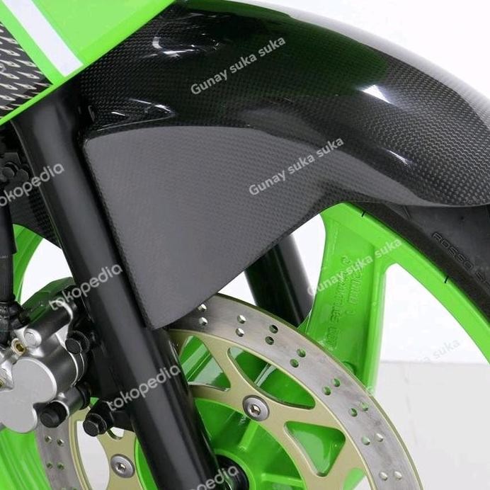 ready Spakbor Depan Carbon Keplar Tyga Ninja R SS RR ZX NEW RR Original