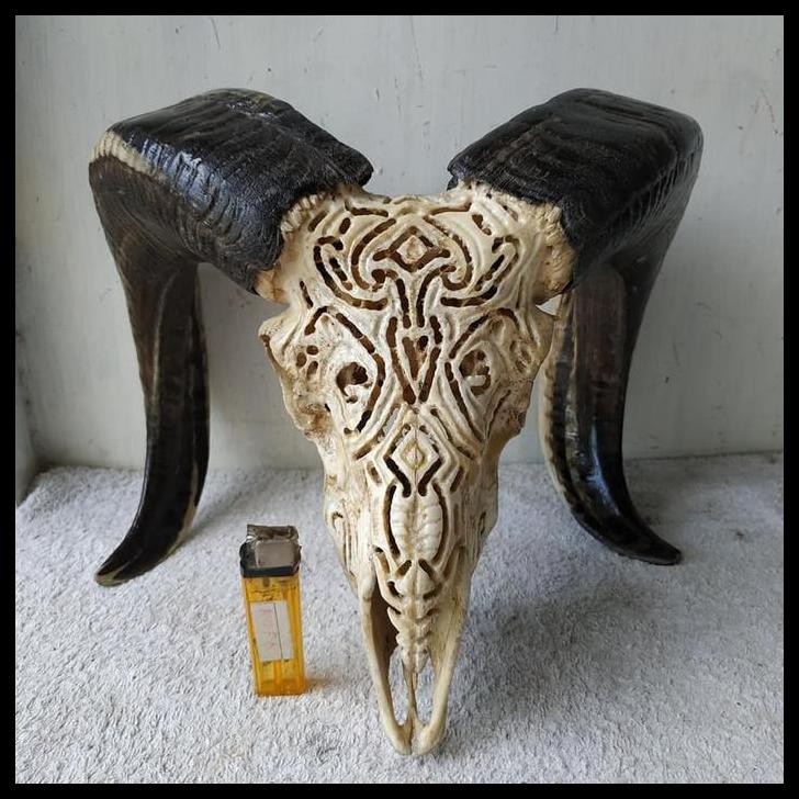 TERMURAH PAJANGAN TANDUK DOMBA HUTAN UKIR