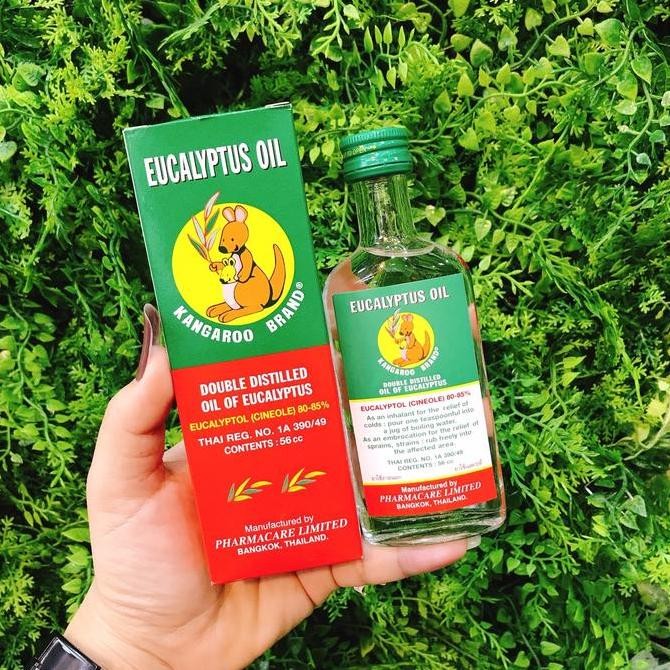 EUCALYPTUS OIL KANGAROO BRAND MINYAK KAYU PUTIH ORIGINAL THAILAND HS