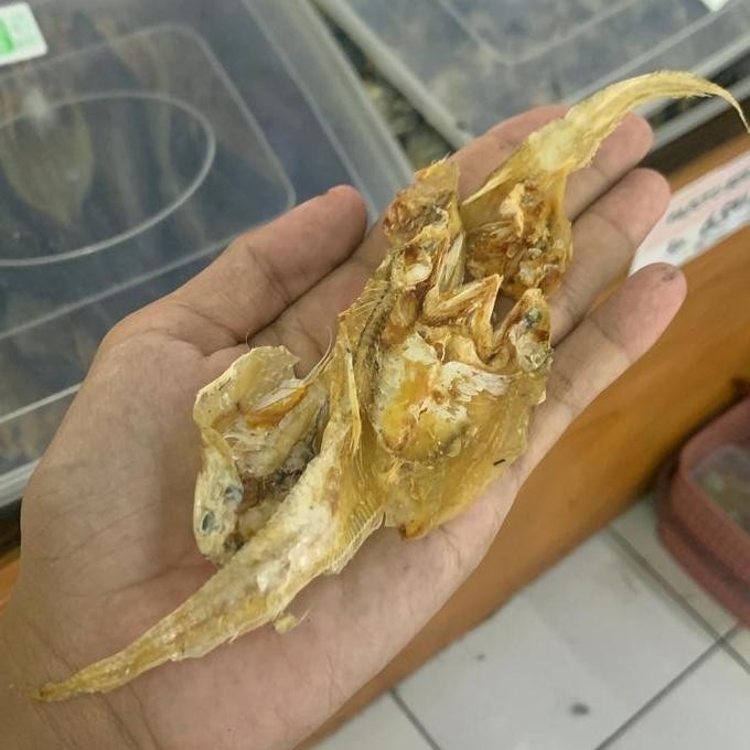 

Ikan Asin bulu ayam berat bervariasi