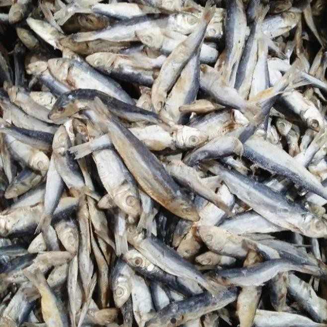

ikan asin japuh lesi kecil/500gr