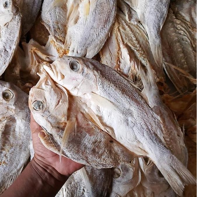 

Ikan asin kakap kering 1 kg Food