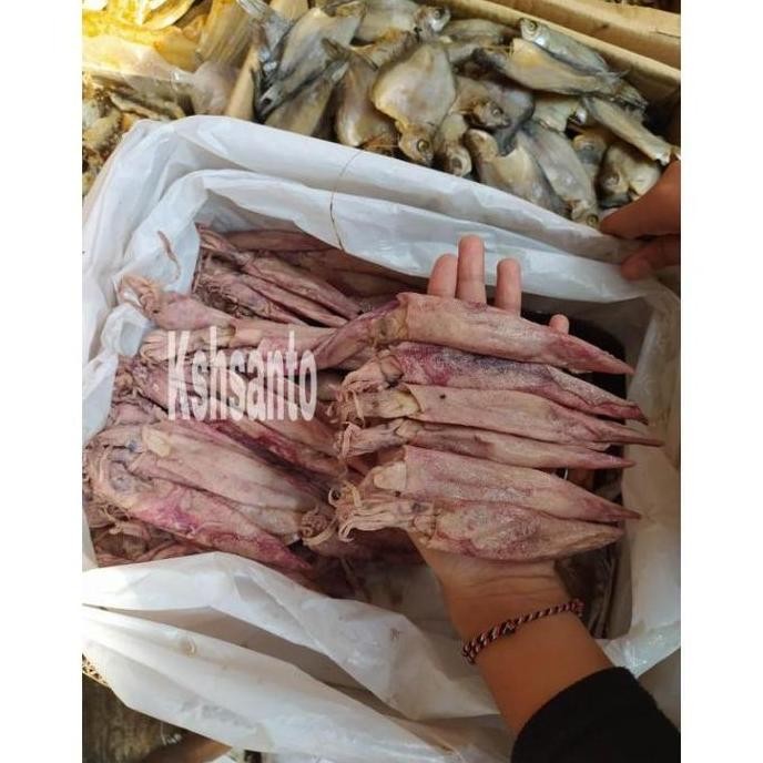 

ikan asin cumi panjang-1kg