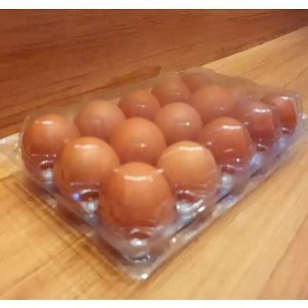 Domdom 25Pcs Mika Telur Isi 15 Pengunci Tebal Egg Box Storage Kotak Telur Tray