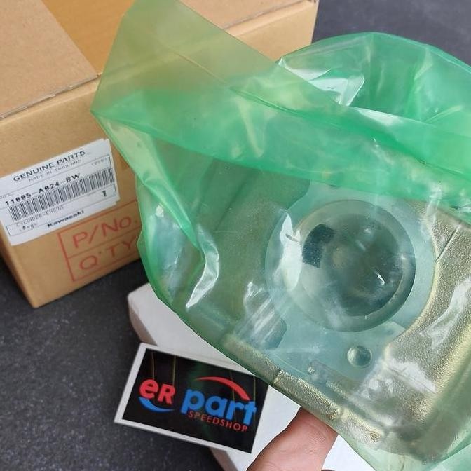 Blok seher ninja r rr PDK gold BW