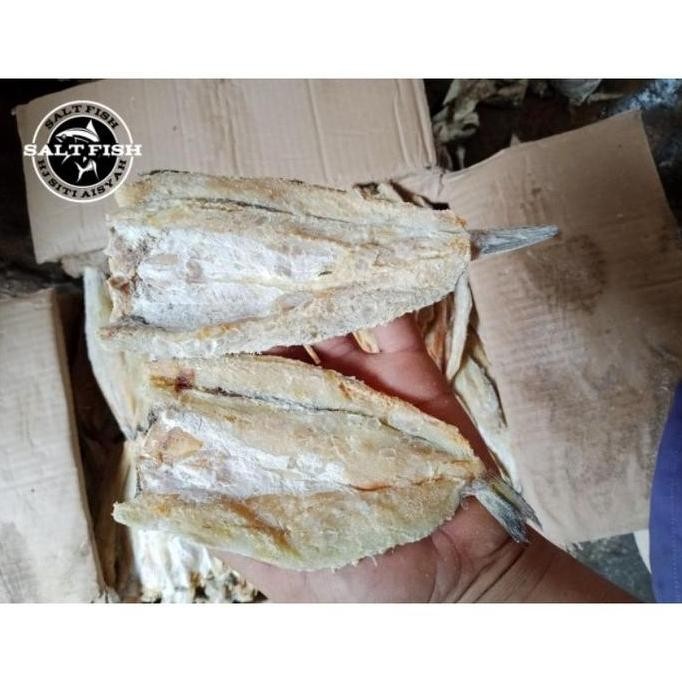 

Ikan Asin Bloso Super 1 Kg Gram Kenikmatan Laut yang Siap Mengguncang Lidah dan Mencuri Hati