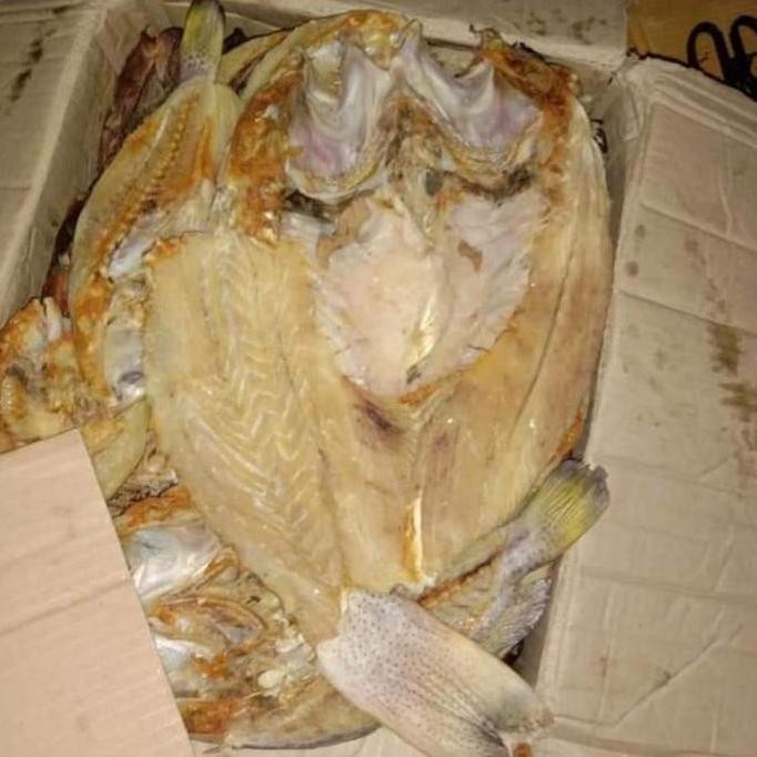 

Ikan Asin Sunu Khas Selayar 1 kg