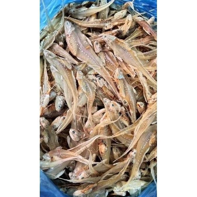 

ikan asin bulu ayam kering 1 kg
