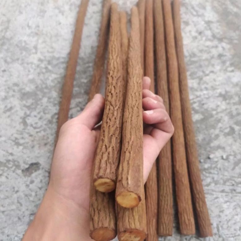 Sepasang Tangkringan Asam Jawa Super Grade A 65Cm Ukuran Murai Kacer Kenari Cucak Ijo Pentet Plangkr