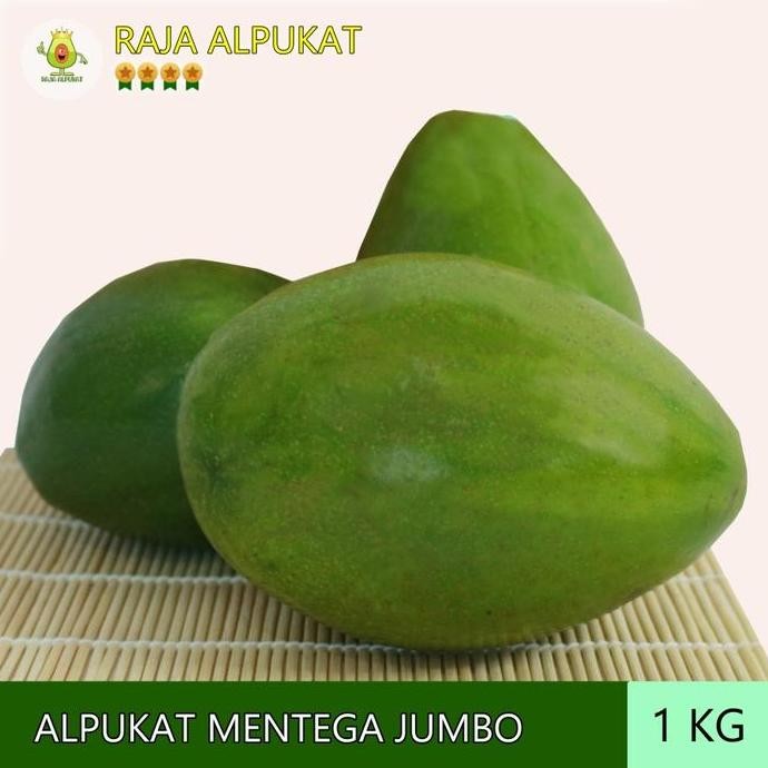 

LM RA - Alpukat Mentega Jumbo Kiloan