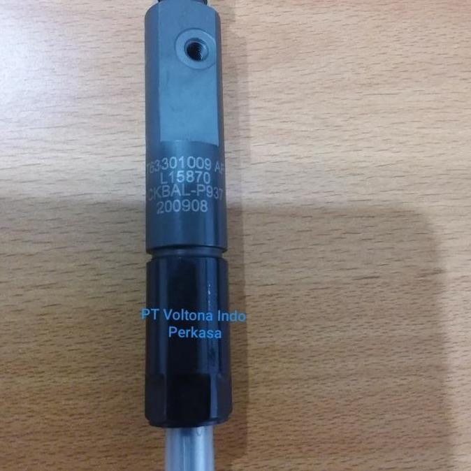 ready  Injector Lovol 1004TG & 1006 Series