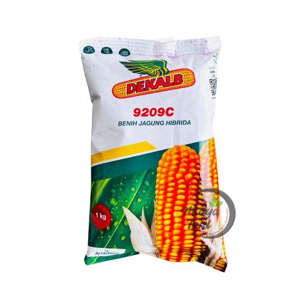 Benih Jagung Hibrida Dekalb Dk 9209C 1 Kg Original - Benih Unggul Siap Tanam