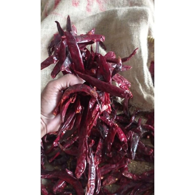 

Terlaris ( Cabe Super 1.Kg ) Cabe Merah Besar Super Kering Tanpa Tangkai Kualitas Bagus