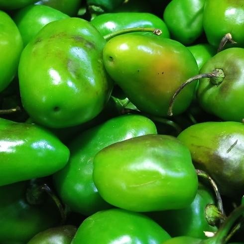 

Garansi Cabe Cabai Gendot / Bendot / Gendol / Fresh 500Gr / Sayuran - Buah Segar / Bisa Cod