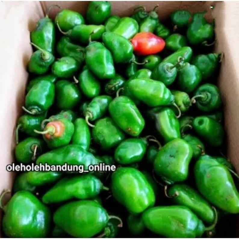 

Terlaris Cabe Gendot Bandung Segar Dan Super Pedas 1000Gr