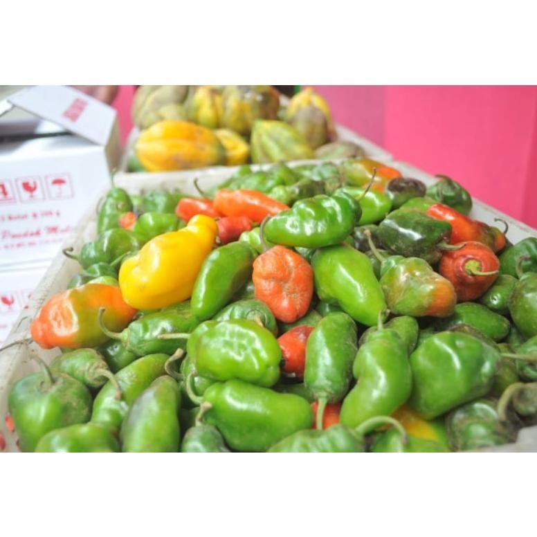 

Kenyamanan Cabe Gendot 1 Kg (Fresh Promo)