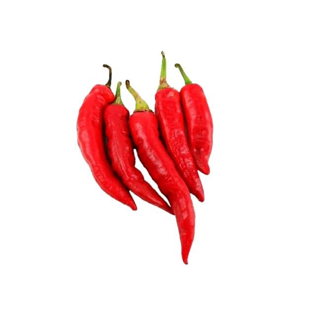 

Inovasi 250Gr - Cabai Bandar Sayur [ Cabe Rawit Merah - Hijau / Cabe Keriting Merah -Hijau / Cabe Besar Tw Merah-Hijau / Cabe Tanjung Merah / Cabe Gendot / Paprika Merah-Hijau-Kuning]