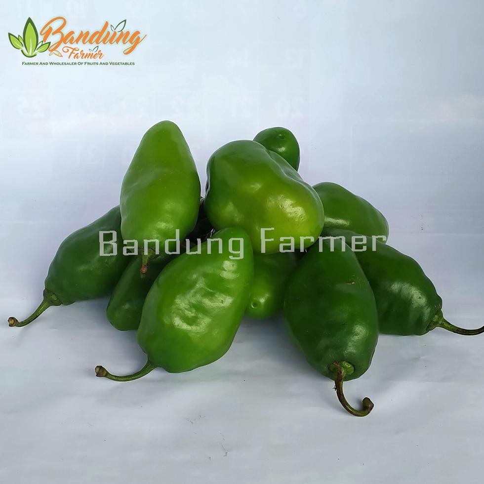 

Diskon Cabe Gendot Bandung 250 Gr Fresh