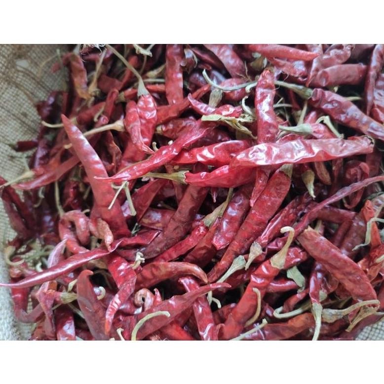 

Pilihan Tepat Cabe Rawit Teja Merah Kering Super 1 Kg Kilo Import Dijamin Pedas Dan Fresh