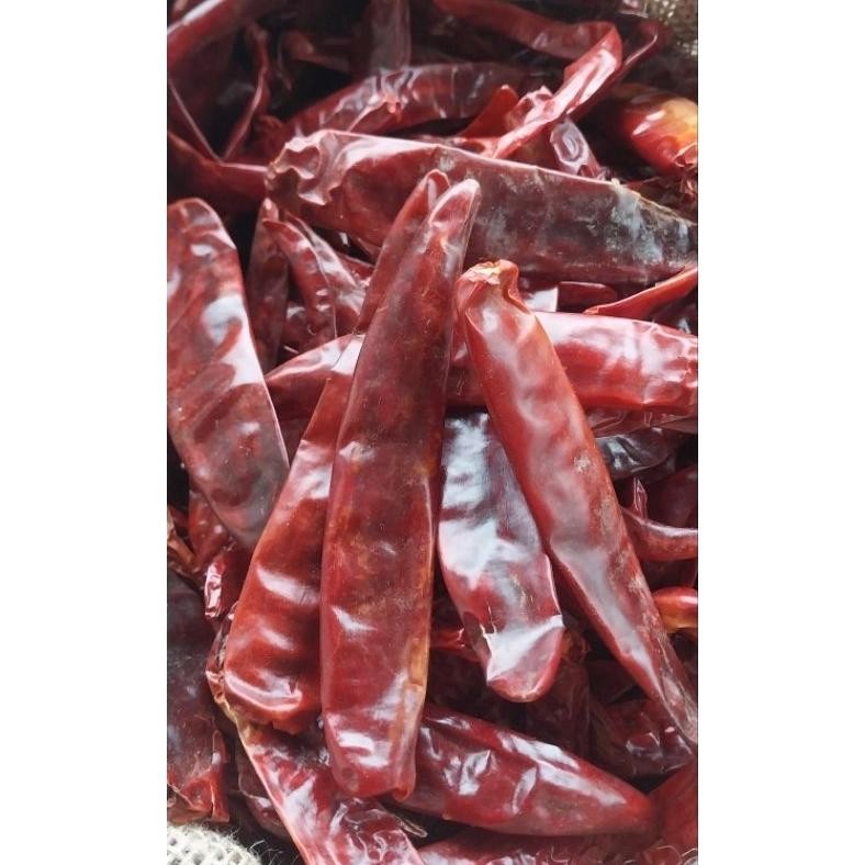 

Penuh Inovasi Promo !! 1Kg Cabe Merah Besar Kering Tidak Pedas