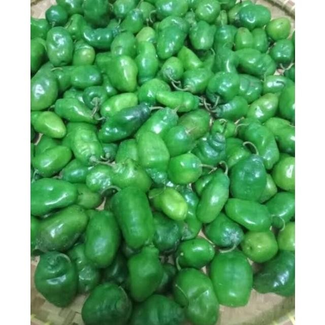 

Tangguh Cabe Gendot Bandung Segar Dan Super Pedas 1000Gr