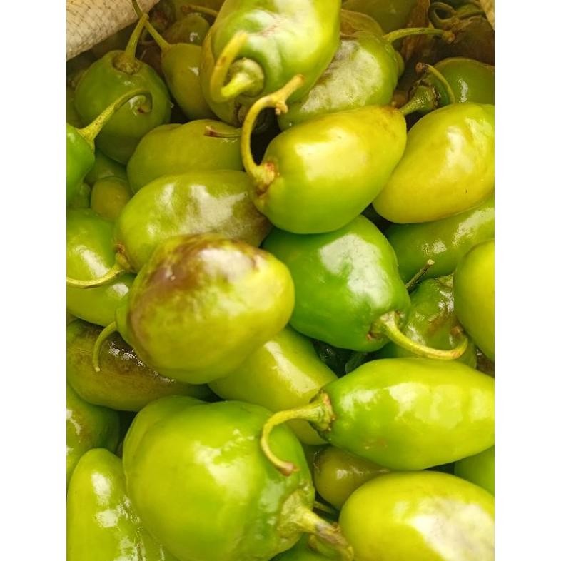 

Nikmati Cabe Gendot Segar Super Besar Isi 500Gr