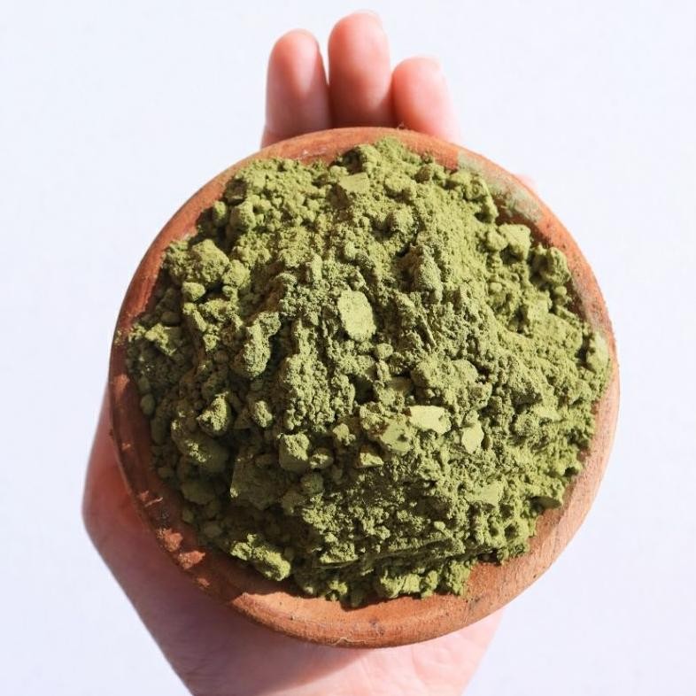 

Grosir Powder Matcha 3Kg | Matcha Pure Bulk 3Kg