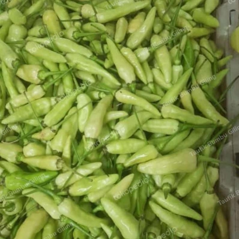 

Original Cabe Rawit,Cabe Hijau,Lombok Kepiting,Lombok Besar